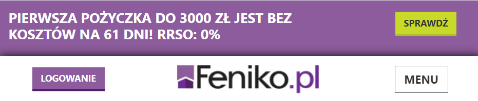 Fot. Screen / feniko.pl (na dzień 10.09.2021)