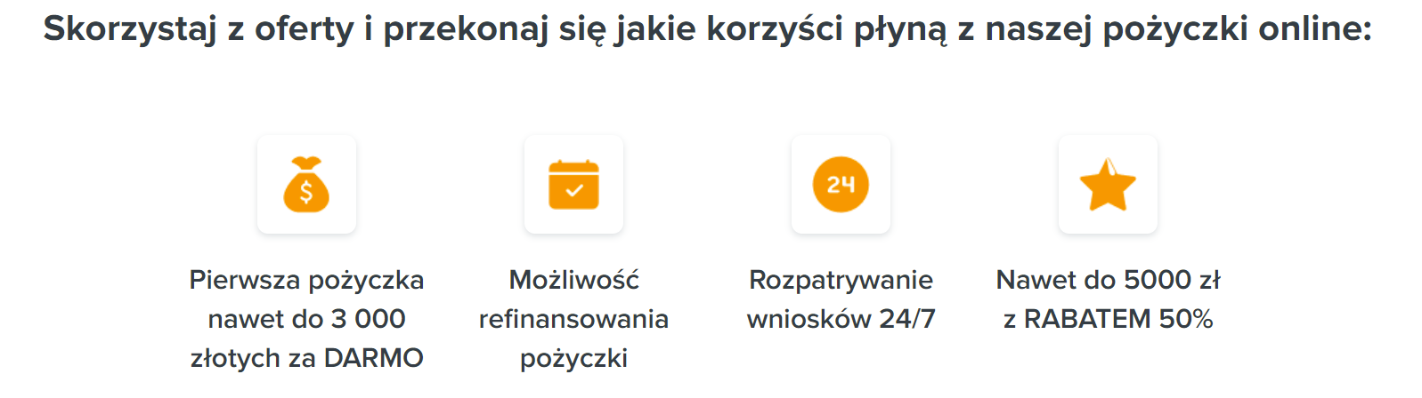 Fot. Screen / pozyczkaplus.pl